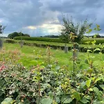 Lagewald * Groesbeek