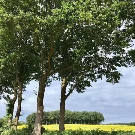 Campsite Lagewald Groesbeek