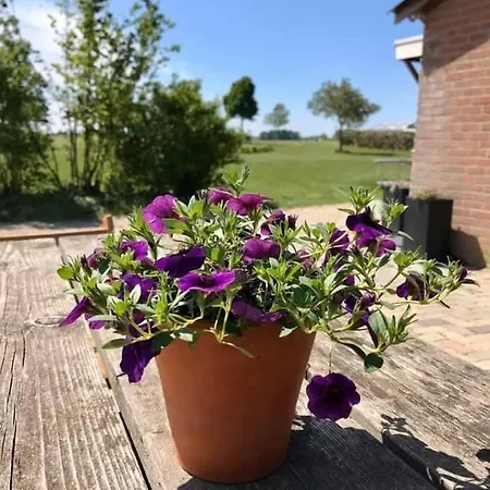 Lagewald * Groesbeek