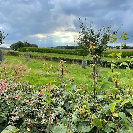 Lagewald * Berg en Dal