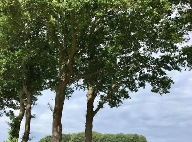 Kemping Lagewald Groesbeek