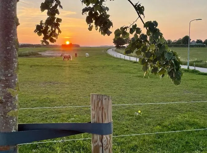 Lagewald אתר קמפינג גרושבק