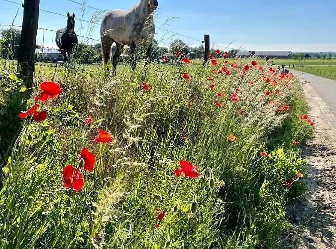 Lagewald אתר קמפינג *