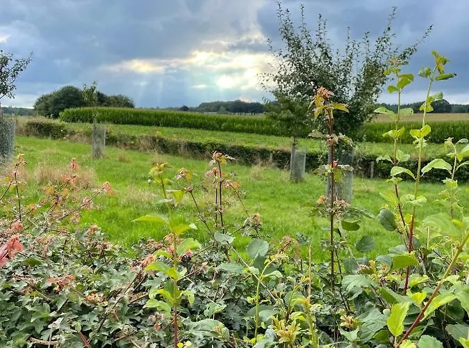 Lagewald * גרושבק